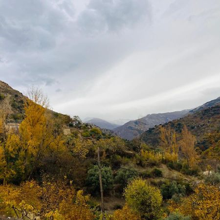 El Hogar De Mercedes Guejar Sierra Dış mekan fotoğraf